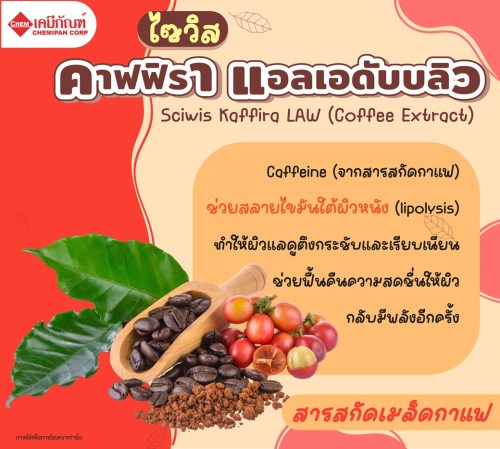 ไซวิส คาฟฟิรา แอลเอดับบลิว (สารสกัดเมล็ดกาแฟ)(Sciwis Kaffira LAW (Coffee Extract)) : 25g. M
