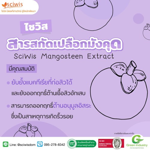 ไซวิส การ์ซิม แอลเอ (สารสกัด เปลือกมังคุด) (SciWis Garcim LA (Mangosteen Extract)) : 25g. M