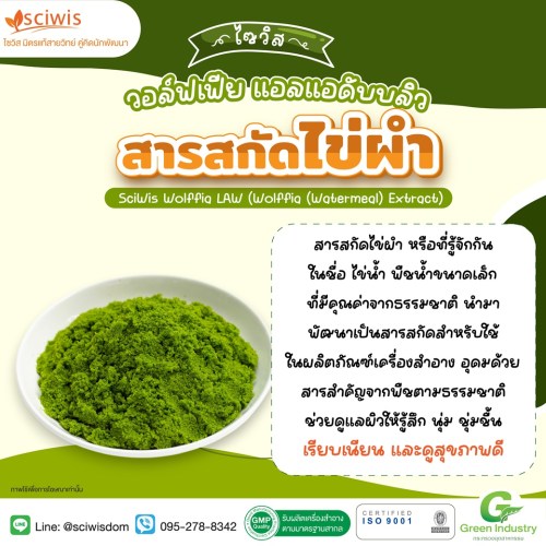 ไซวิส วอล์ฟเฟีย แอลแอดับบลิว (สารสกัดไข่ผำ) (SciWis Wolffia LAW (Wolffia (Watermeal) Extract)) 25g. A M