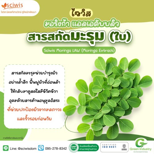 ไซวิส มอริงก้า  แอลเอดับบลิว (สารสกัดมะรุม) (Sciwis Moringa LAW (Moringa Extract)) 25g. A M
