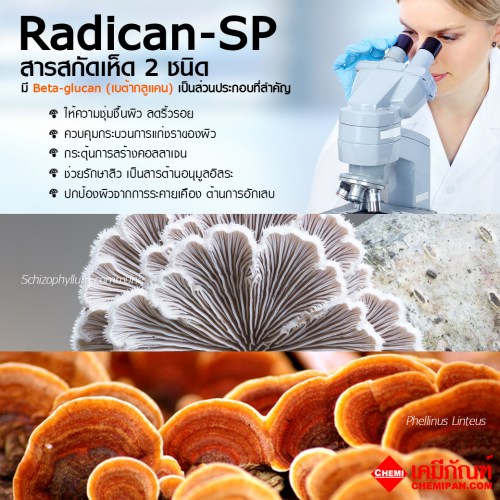 Radican-SP(เรดิแคน SP) สารสกัดเห็ด2ชนิด : 25g. M