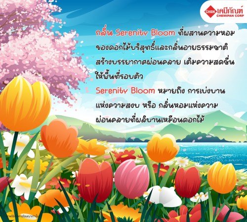 ไซวิส น้ำมันหอมระเหย เซอเรนนิตี้ บลูม  (Sciwis Serenity Bloom Essential Oil) 25g. A M