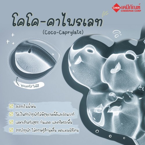 โคโค-คาไพรเลท (Coco-Caprylate) (สารทดแทนซิลิโคน) 250g. A M