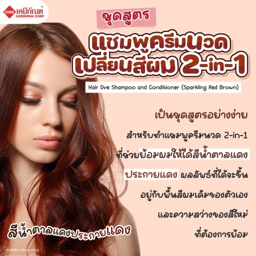 ชุดสูตร แชมพูครีมนวดเปลี่ยนสีผม 2-in-1 (สีน้ำตาลแดงประกายแดง) (สูตรอย่างง่าย) (ปราศจากแอมโมเนีย) (Hair Dye Shampoo and Conditioner (Sparkling Red Brown) Formula) 250g. A M