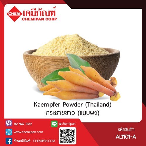กระชายขาว (เเบบผง) (Thailand) (Kaempfer Powder) 100g. A M