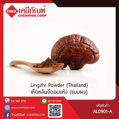 เห็ดหลินจืออบแห้ง (เเบบผง) : สมุนไพรจีน (Thailand) (Lingzhi Powder) 100g. A M