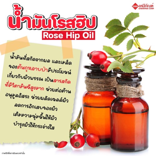 Rose Hip Oil(โรสฮิปออยล์) : 25g. M