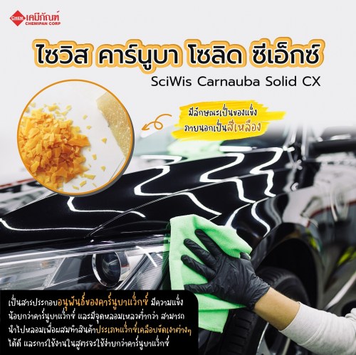 ไซวิส คาร์นูบา โซลิด ซีเอ็กซ์ (Thailand) (SciWis Carnauba Solid CX) 250g. A M
