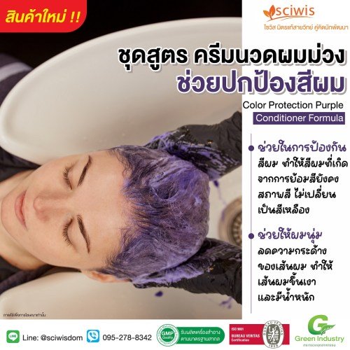 ชุดสูตร ครีมนวดผมม่วง ช่วยปกป้องสีผม (ปราศจากแอมโมเนีย) (Color Protection Purple Conditioner Formula (Ammonia-Free))  250g. A M