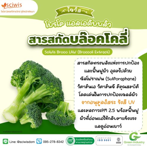 ไซวิส โบรโค แอลเอดับบลิว (สารสกัดบล๊อคโคลี่) (SciWis Broco LAW (Broccoli Extract)) 25g. A M