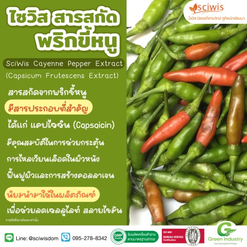 ไซวิส แคปซิน ฮีท แอลเอดับบลิว (ละลายน้ำ) (สารสกัด พริกขี้หนู) (SciWis Capcin Heat LAW (Water Soluble) (Cayenne Pepper Extract) 25g