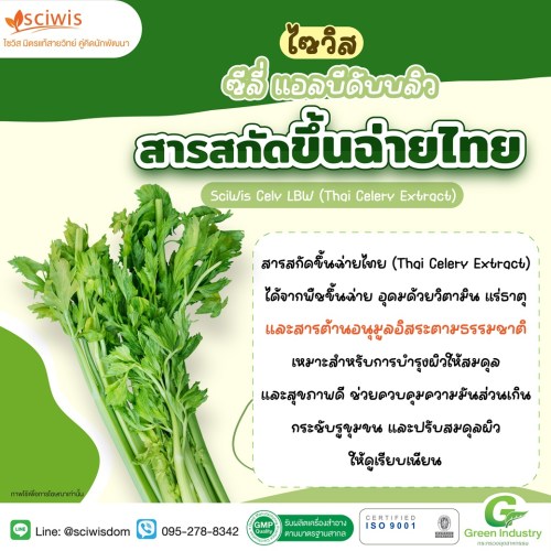ไซวิส ซีลี่ แอลบีดับบลิว (สารสกัดขึ้นฉ่ายไทย) (SciWis Cely LBW (Thai Celery Extract)) 25g. A M