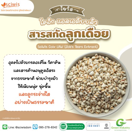 ไซวิส โคอิก แอลเอดับบลิว (สารสกัดลูกเดือย) (SciWis Coix LAW (Job's Tears Extract)) 25g. A M
