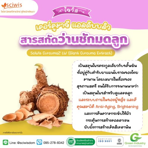 ไซวิส เคอร์คูมาซี แอลดับบลิว (สารสกัดว่านชักมดลูก) (SciWis CurcumaZ LW (Giant Curcuma Extract)) 25g. A M