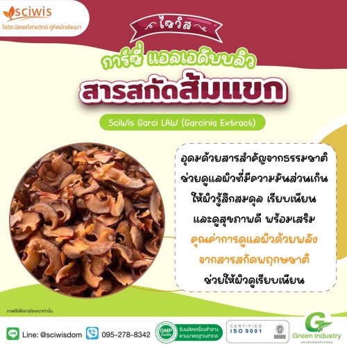 ไซวิส การ์ซี่ แอลเอดับบลิว (สารสกัดส้มแขก) (SciWis Garci LAW (Garcinia Extract)) 25g. A M