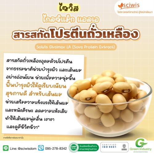 ไซวิส ไกลซิแม็ก แอลเอ (สารสกัดโปรตีนถั่วเหลือง) (SciWis Glycimax LA (Soya Protein Extract)) : 25g. M