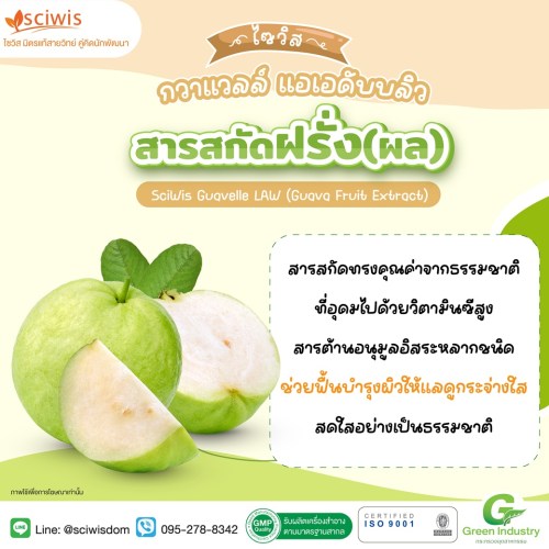 ไซวิส กวาแวลล์ แอเอดับบลิว (สารสกัดฝรั่ง(ผล)) (SciWis Guavelle LAW (Guava Fruit Extract)) 25g. A M