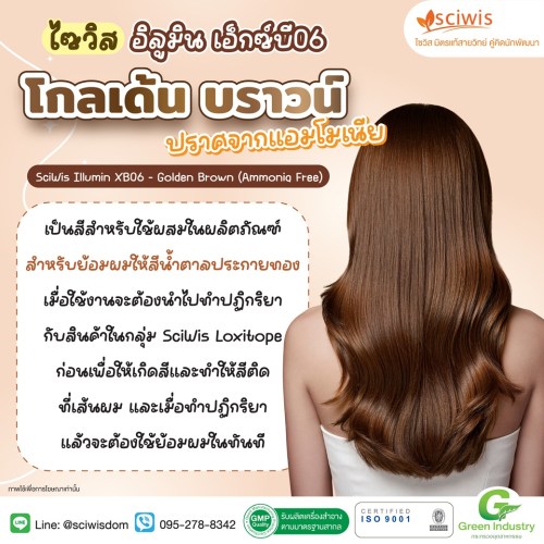 ไซวิส อิลูมิน เอ็กซ์บี06 – โกลเด้น บราวน์ (ปราศจากแอมโมเนีย)  (SciWis Illumin XB06 – Golden Brown (Ammonia Free)) 100g. A M