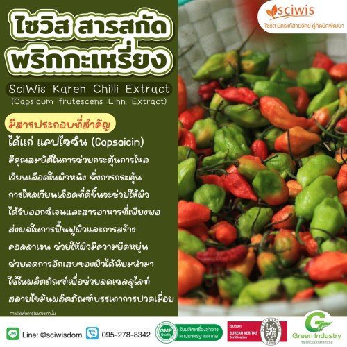 ไซวิส แคปซิน ฮีท แอลซีดับบลิว (ละลายน้ำ) (สารสกัด พริกกะเหรี่ยง) (SciWis Capcin Heat LCW (Water Soluble) (Karen Chilli Extract (Capsicum frutescens Linn. Extract))) 25g. A M