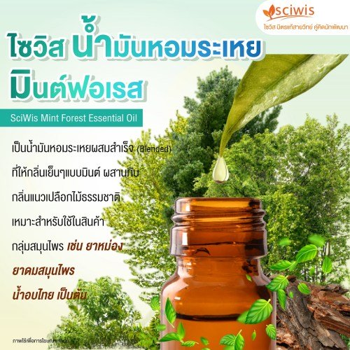 ไซวิส น้ำมันหอมระเหย มินต์ฟอเรส (SciWis Mint Forest Essential Oil) 25g. A M