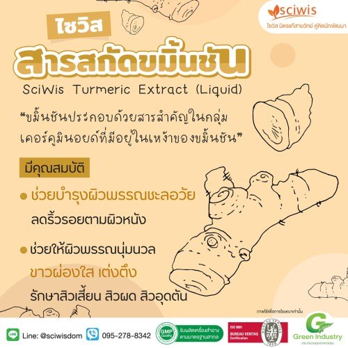 ไซวิส เซอร์คูแม็กซ์ แอลเอ (สารสกัดขมิ้นชัน (เหลว)) (SciWis Curcumax LA (Turmeric Extract Liquid)) : 25g. M