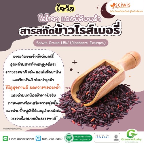 ไซวิส โอไรซา แอลบีดับบลิว (สารสกัดข้าวไรส์เบอรี่) (Sciwis Oryza LBW (Riceberry Extract)) 25g. A M