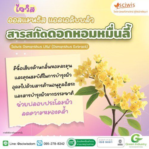 ไซวิส ออสแมนธัส แอลเอดับบลิว (สารสกัดดอกหอมหมื่นลี้) (Sciwis Osmanthus LAW (Osmanthus Extract)) 25g. A M