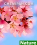 น้ำมันนวด รีแล็กซ์ (Relax Oil) : 25g. M