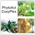 PhytoAct CosyPlex (ไฟโตแอค โคซี่เพลกซ์) : 25g. M